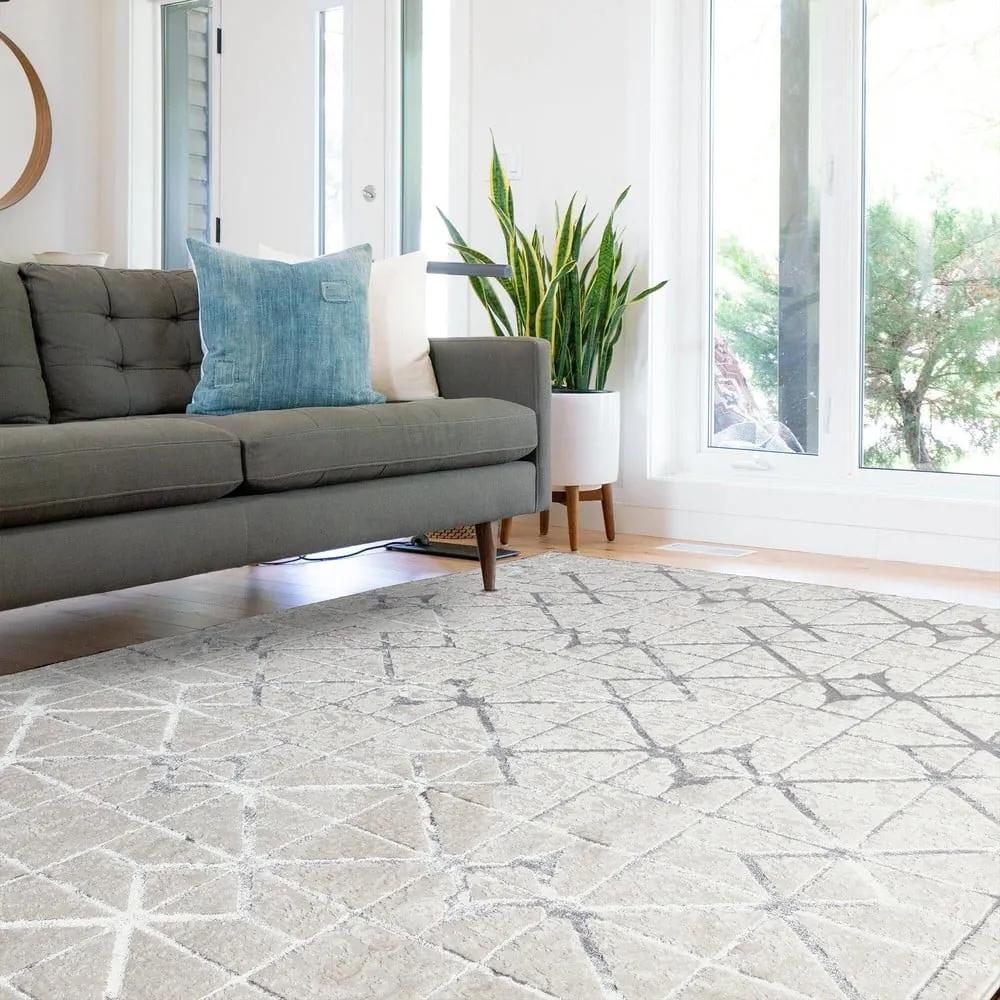 Килим в сребристо-розово 290x200 cm Aurora - Asiatic Carpets