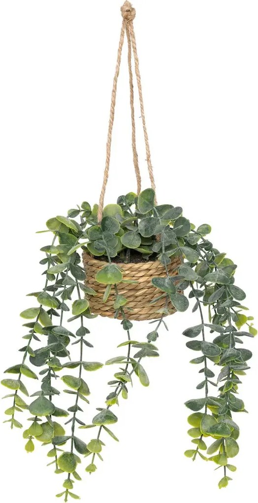 Изкуствено растение atmosphera Patri Hanging, 50 cm, Различни видове