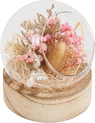 Декоративни цветя atmosphera Pria , 15 cm