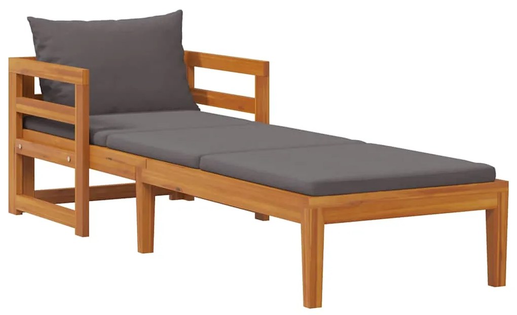 316317 vidaXL Шезлонг с тъмносиви възглавници, акациево дърво масив