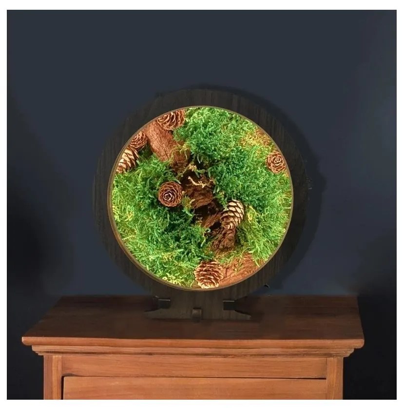 Li-Go 23654 - Димируема LED настолна декорация LED/12W/230V 20x22 cm, с мъх