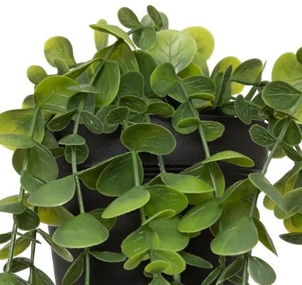 Изкуствено растение atmosphera Merly Eucalyptus, 51 cm, Различни видове
