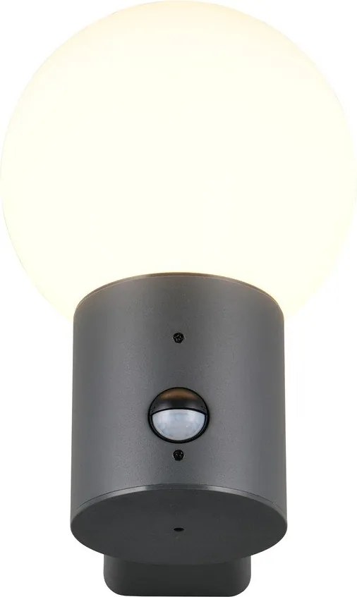 Стенно външно осветително тяло със сензор за движение ø 18 cm Mures – Trio