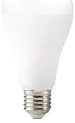 LED крушка GS E27/22W/230V 6500K
