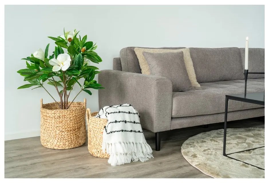 Кошници в комплект 2 бр. от воден зюмбюл ø 35x37 cm Passo – House Nordic