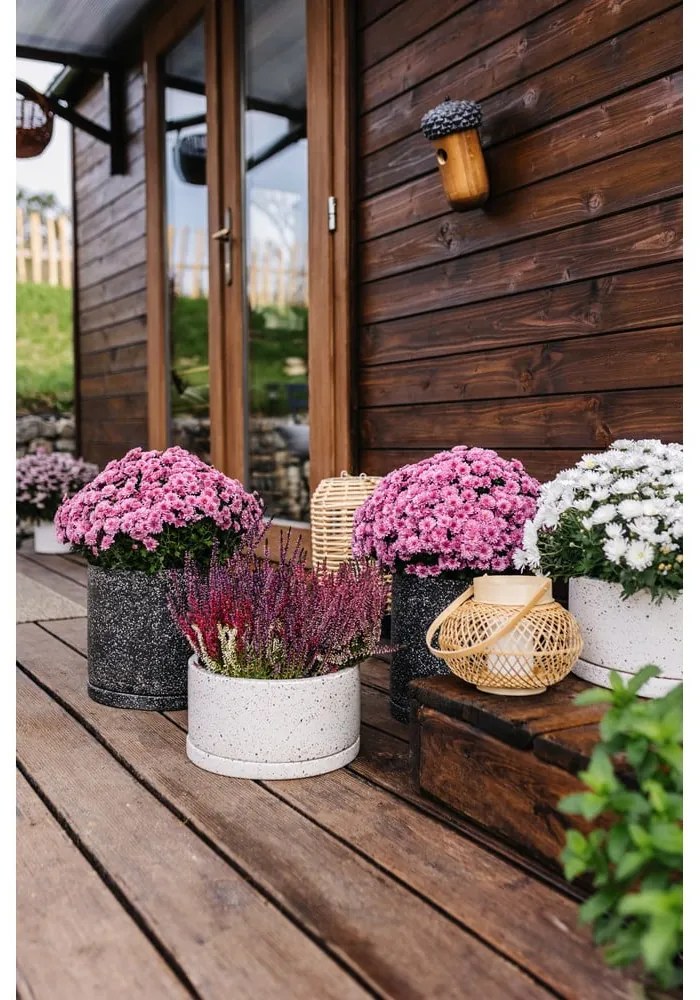 Комплект от 2 тъмносиви саксии, ø 26 cm Terrazzo - Bonami Selection