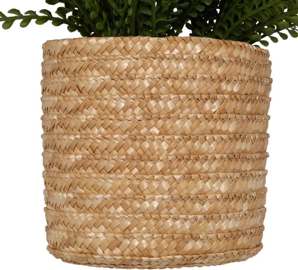 Изкуствено растение atmosphera Clemy Fern, 30 cm