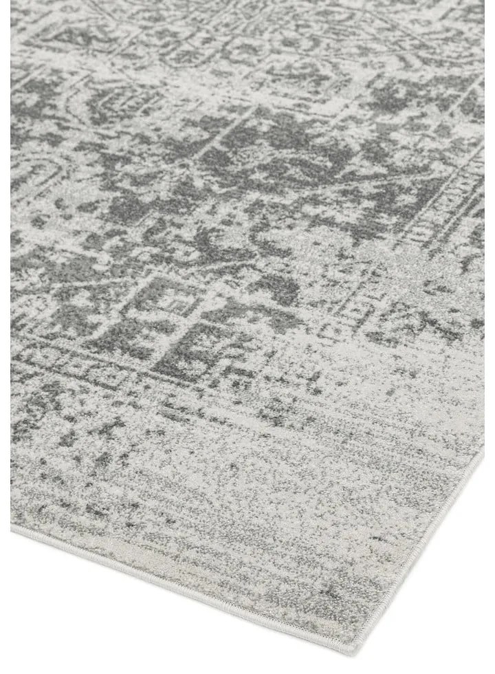 Сив килим 200x290 cm Nova – Asiatic Carpets