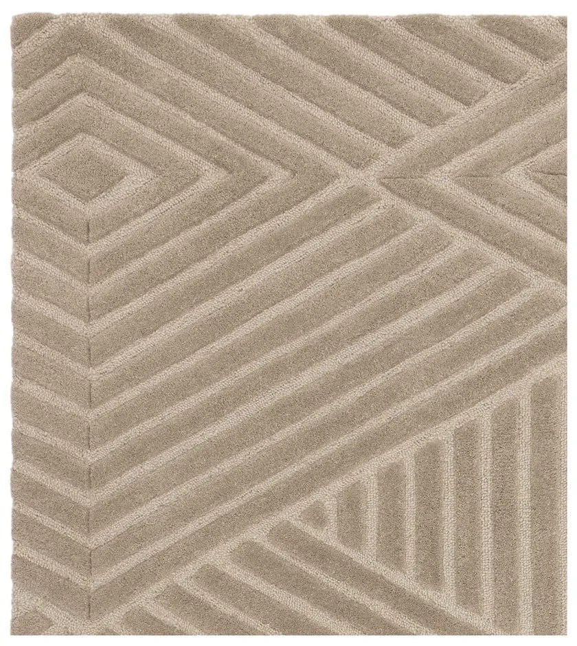 Светлокафяв вълнен килим 160x230 cm Hague - Asiatic Carpets