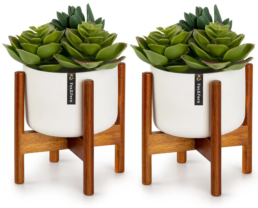 Fox & Fern Thorn, саксия със стойка, комплект от 2 части, стил 50-те години