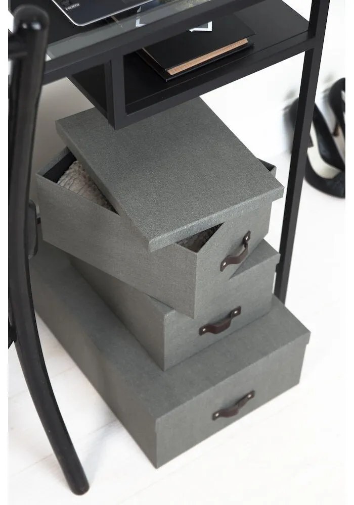 Кутии за съхранение с капак в комплект от 3 Inge - Bigso Box of Sweden