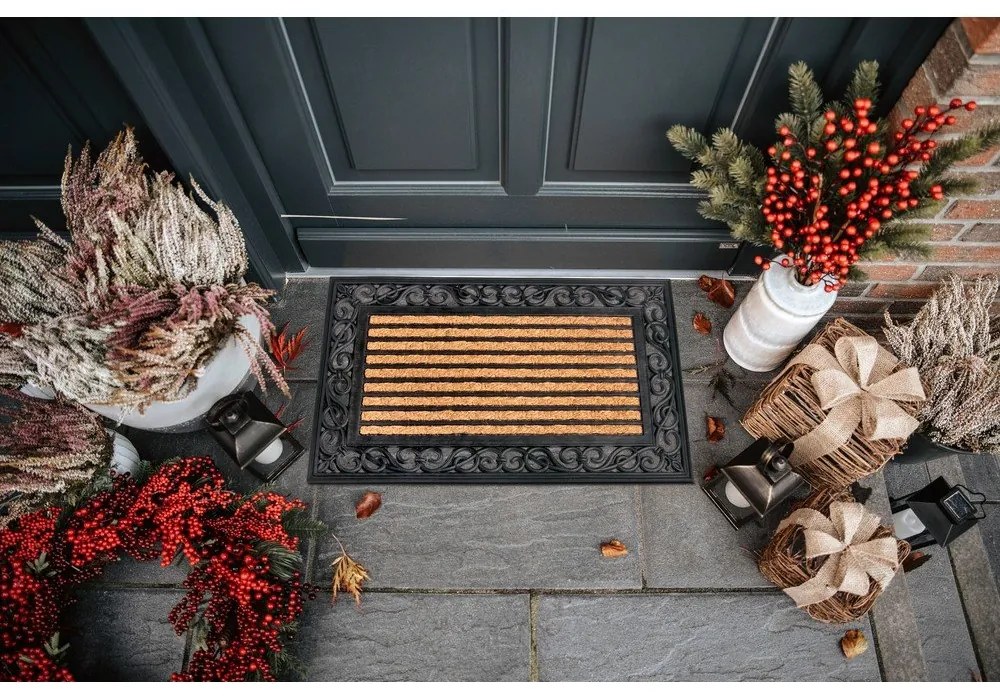 Изтривалка от кокосови влакна 45x75 cm Panama - Hanse Home