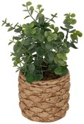 Изкуствено растение atmosphera Jaye Eucalyptus, 27 cm