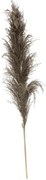 Изкуствено растение atmosphera Natural Pampa, 110см, 3бр, Кафяв