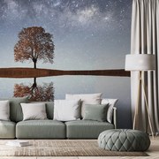 Фототапет – Звездно небе над самотно дърво