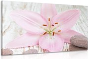 Картина на платно – Розова лилия и дзен камъни