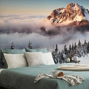 Фототапет – Розсутец в снежно одеяло