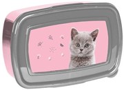 Paso - Кутия за храна CAT