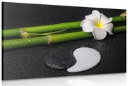 Картина на платно – Спа натюрморт и камъни Ин и Ян