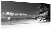 Картина на платно – Плаж Анс Сурс в черно-бял вариант