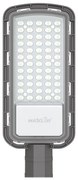 LED Улична лампа LED/50W/230V 6500K IP65 сив