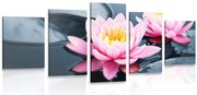 картини от 5 части – Цвят на лотос в езерото