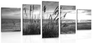 картини от 5 части – Залез на плажа в черно-бяло