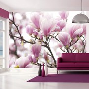 тапети - Magnolia bloosom 400x309