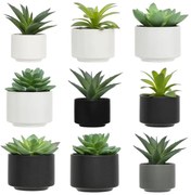 Изкуствено растение atmosphera Succulent, 13 cm, Различни видове