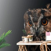 Самозалепващ фототапет – Сова