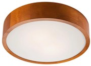 LED таванно осветително тяло 1xLED/24W/230V