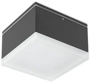 Redo 90109 - Външно LED осветление за таван AKRON 1xLED/9W/230V IP54