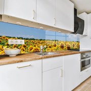 Стъклен АРТ гръб за кухня - Поле от слънчогледи