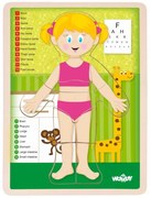 Woody - Човешкото тяло, момиче - дървен пъзел