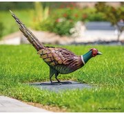 Nortene - Градинска декоративна фигура фазан Feesy