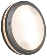 Стенна и таванна лампа тъмно сива 2 светлини IP54 - Glow