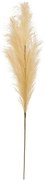 Клон пампас изкуствен atmosphera Adna, Бежов, 90 cm