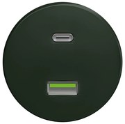 Kliklap - Ретро USB контакт A+C без рамка, зелен