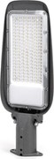 Aigostar - LED Улична лампа LED/100W/230V 6500K IP65
