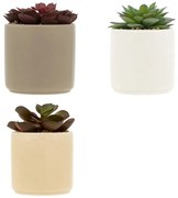 Изкуствено растение atmosphera Nils, 12 cm, Различни видове