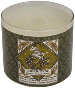 Ароматна свещ atmosphera Astro, Стъкло, 396 g - Capricorn