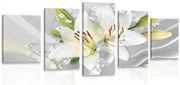 картини от 5 части – Бяла лилия на интересен фон