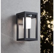 Eglo 900804 - LED соларен стенен фенер MARTANO 3,7W/3,7V IP44 с сензор