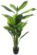 Изкуствено растение atmosphera Banana Tree, 170 cm