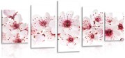 картини от 5 части – Черешови цветове