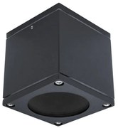 Palnas 66003511 - Екстериорен аплик TIMUR 1xGU10/10W/230V IP54