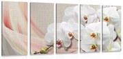 картини от 5 части – Бяла орхидея на платно