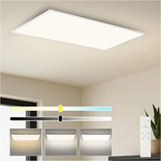 Brilagi - Димируемо LED таванно осветително тяло SLIMFRAME LED/80W/230V 120x60 cm бяло + дистанционно управление