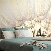 Фототапет – Глухарче