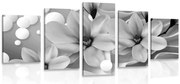 картини от 5 части – Черно-бяла магнолия на абстрактен фон